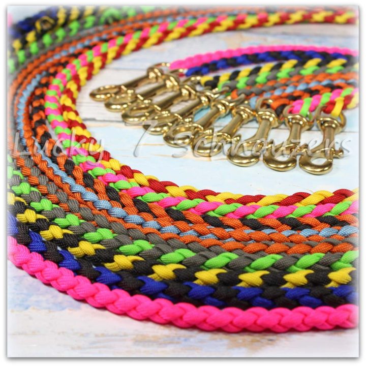 5' Braided Leash